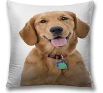 Декоративная наволочка JoyArty sl_59192