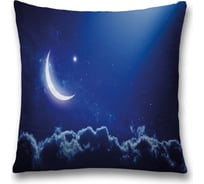 Декоративная наволочка JoyArty sl_38827