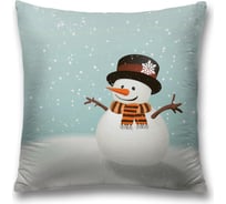 Декоративная наволочка JoyArty sl_4547