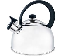 Чайник IRIT из нержавеющей стали, объем 2.0 л IRH-401