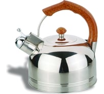 Чайник IRIT из нержавеющей стали, объем 3.0 л IRH-409