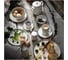 Миска Walmer RIVERSIDE 12см W37000817 3