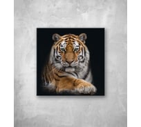 Картина на стекле ООО Оптион ТИГР АМУРСКИЙ 40x40 см 80684