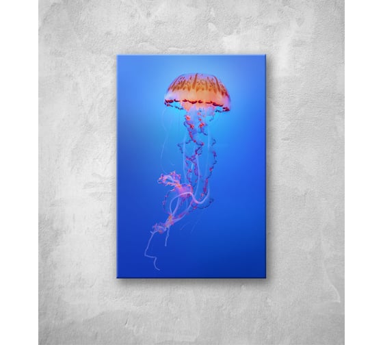 Картина на стекле ООО Оптион МЕДУЗА ТИГРОВАЯ 40x60 см 80490