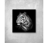 Картина на стекле ООО Оптион ТИГР 40x40 см 80345