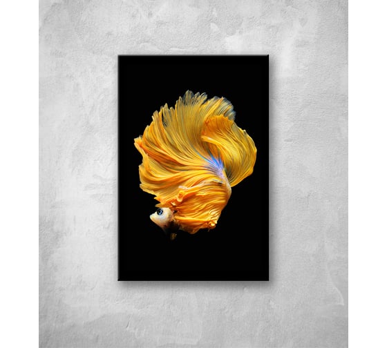 Картина на стекле ООО Оптион РЫБКА СИАМ желтая, 40x60 см 80429