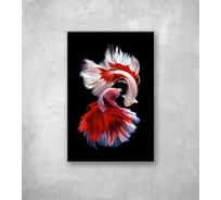 Картина на стекле ООО Оптион РЫБКИ СИАМ красные, 40x60 см 80428