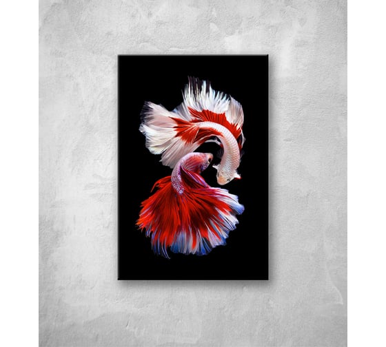 Картина на стекле ООО Оптион РЫБКИ СИАМ красные, 40x60 см 80428