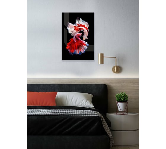 Картина на стекле ООО Оптион РЫБКИ СИАМ красные, 40x60 см 80428