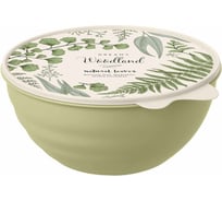 Миска Phibo WAVE с крышкой с декором 2,8 л зеленый 43321770952