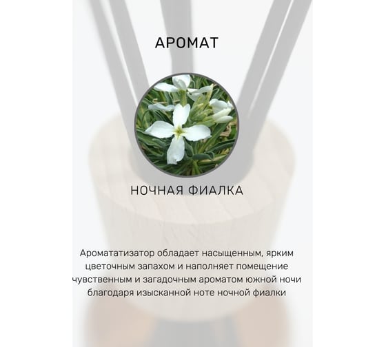 Ароматизатор для помещений Parfum Eternel Night violet 60 мл 00649