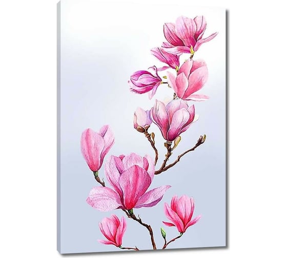 Картина ООО Первое ателье Веточка магнолии 35x53 см ps97346-1