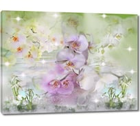Картина ООО Первое ателье Прекрасные орхидеи в бликах 60x46 см ps28832-3