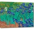 Картина-репродукция ООО Первое ателье Ирисы 35x27 см ps106042-1 1
