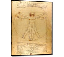 Картина-репродукция ООО Первое ателье Витрувианский человек 44x60 см ps106101-2