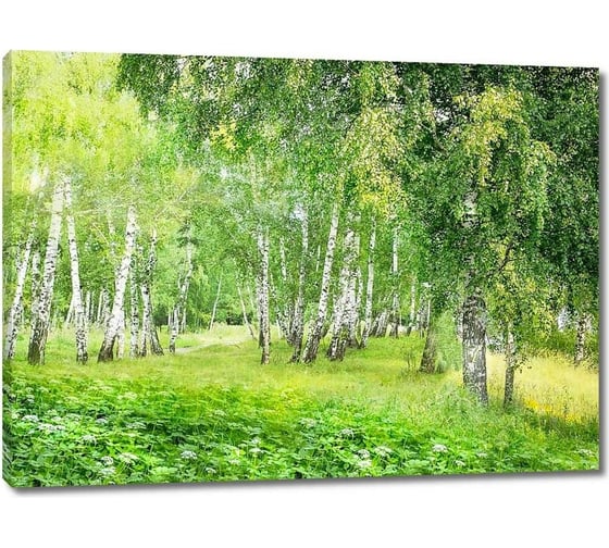 Картина ООО Первое ателье Зеленый лес с березами 82x60 см ps28596-2