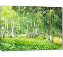 Картина ООО Первое ателье Зеленый лес с березами 60x44 см ps28596-3