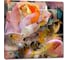 Картина Первое ателье "Яркая абстракция с цветами" 60x60 ШxВ ps28537-3 1