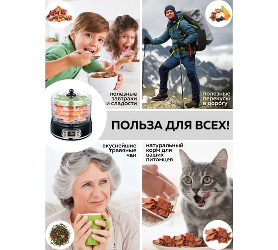 Электрическая сушилка для овощей и фруктов GFGRIL GFD-002