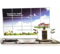 Защитный кухонный экран Beroma 07709079