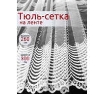 Шторы Костромской текстиль Сетка с вышивкой Цепь, 300х260, белый 00-00803421