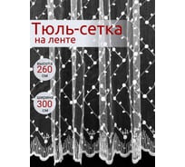 Штора Костромской текстиль сетка, вышивка, белый, 300х260 00-00803919