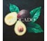 Салфетка на стол Доляна Avocado, ПВХ, 40х29 см 5387128 2