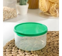 Пищевой контейнер Доляна 0,5л, круглый, цвет зелёный 1333799