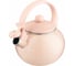 Эмалированный чайник AGNESS DELUXE со свистоком с эффектом металлик 901-102 2