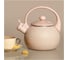 Эмалированный чайник AGNESS DELUXE со свистоком с эффектом металлик 901-102 3
