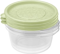 Комплект контейнеров Phibo Арт-декор 0,44л 3 шт Зеленый 431154009