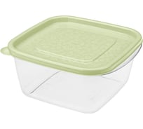 Контейнер Phibo Арт-декор 1л Зеленый 431151909