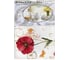 Клеенка в упаковке FLORISTA 140х200 092-00 FL140200-092-00 3