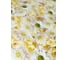 Клеенка в упаковке FLORISTA 100х140 148-00 FL100140-148-00 2