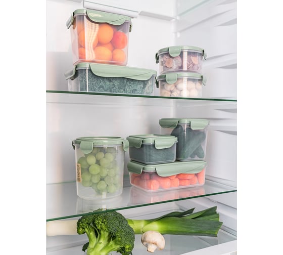 Контейнер Phibo для холодильника и микроволновой печи с клапаном Eco Style 0,5л 433121236