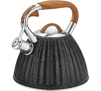 Металлический чайник Rainstahl 3.0 л,фактурное покрытие, черный, ручка имитация дерева 7764-30RS