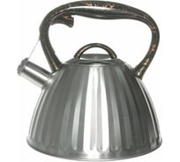 Металлический чайник Rainstahl 3.0 л, цвет металлик, ручка темно-коричневая 7761-30RS