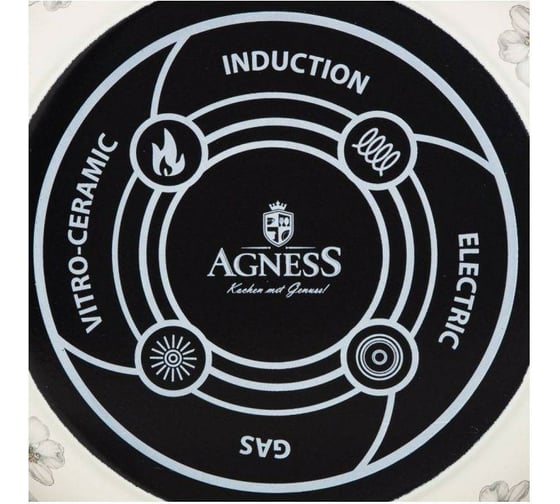 Эмалированная кастрюля AGNESS ЯБЛОНЕВЫЙ САД с крышкой, 3,8 л, диаметр 20 см подходит для индукционных плит 950-523