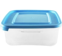 Контейнер для заморозки продуктов Ангора Сиеста Холодок 0.7 л А9100