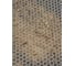 Придверный коврик Vicecar 60x75 см, серый EZ032_серый 4