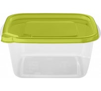 Контейнер Phibo с клапаном Фрэш 1л зеленый 431151809