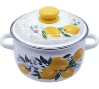 Сферическая эмалированная кастрюля СТАЛЬЭМАЛЬ Лимоны 3 л с ободком белая 3МС181Р ПС6854