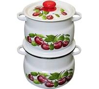 Набор эмалированной посуды СТАЛЬЭМАЛЬ 2 предмета №10 Вишневый сад N10B55 ТБ12072