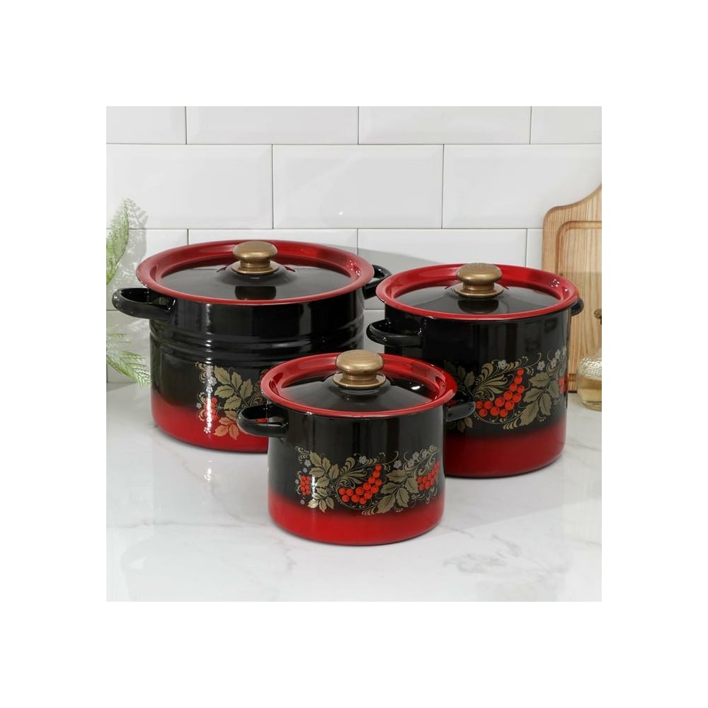Набор эмалированной посуды СТАЛЬЭМАЛЬ №17 Рябинка 3 предмета красный ...