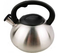 Чайник Bonaffini нержавеющая сталь 3 л СП2521