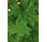 Искусственная ель BEATREES Лаура 1.5 м 1035515 2