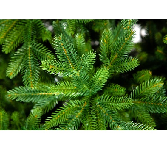 Ель CRYSTAL TREES ТРИУМФ 150 см KP65150
