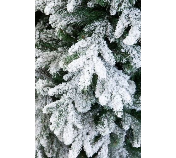 Ель CRYSTAL TREES АМАТИ в снегу 250 см KP4025S