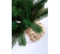 Ель CRYSTAL TREES БЕРГАМО 60 см KP0060