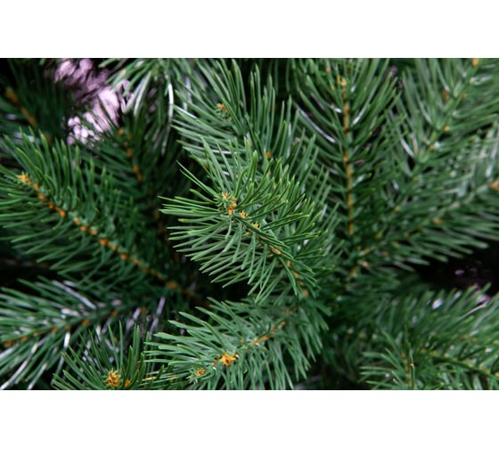 Ель CRYSTAL TREES ВИРДЖИНИЯ 150 см KP9915